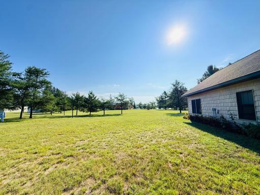 4 acre property.JPG