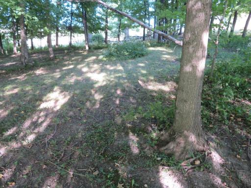 N3580 730th Street, Ellsworth, WI 54011