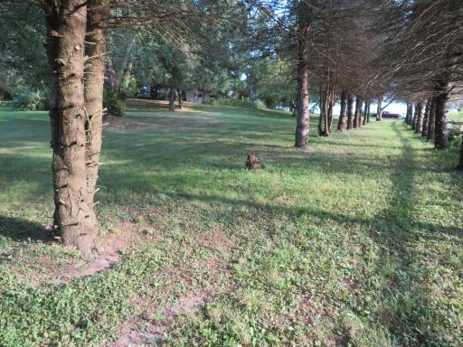 N3580 730th Street, Ellsworth, WI 54011