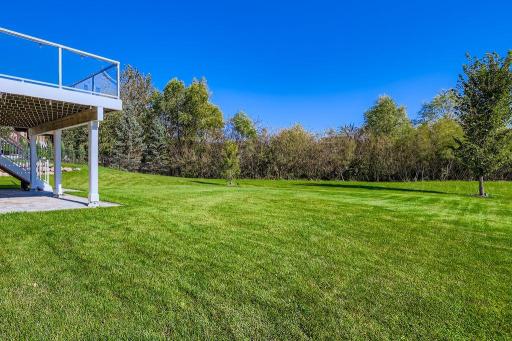1660 Hackamore Dr - MLS Sized - 028 - 51 Backyard.jpg