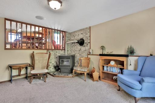 Lower level family room at the walkout. Pellet stove used as supplemental heat, can get the house up to 80 degrees. Past owner would use one to two pallets of pellets per season.