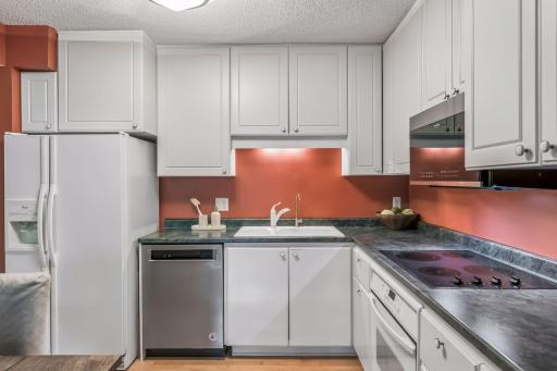 1200 Nicollet Mall, 221, Minneapolis, MN 55403