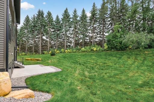 The view of the backyard with lush evergreens creating natural privacy!