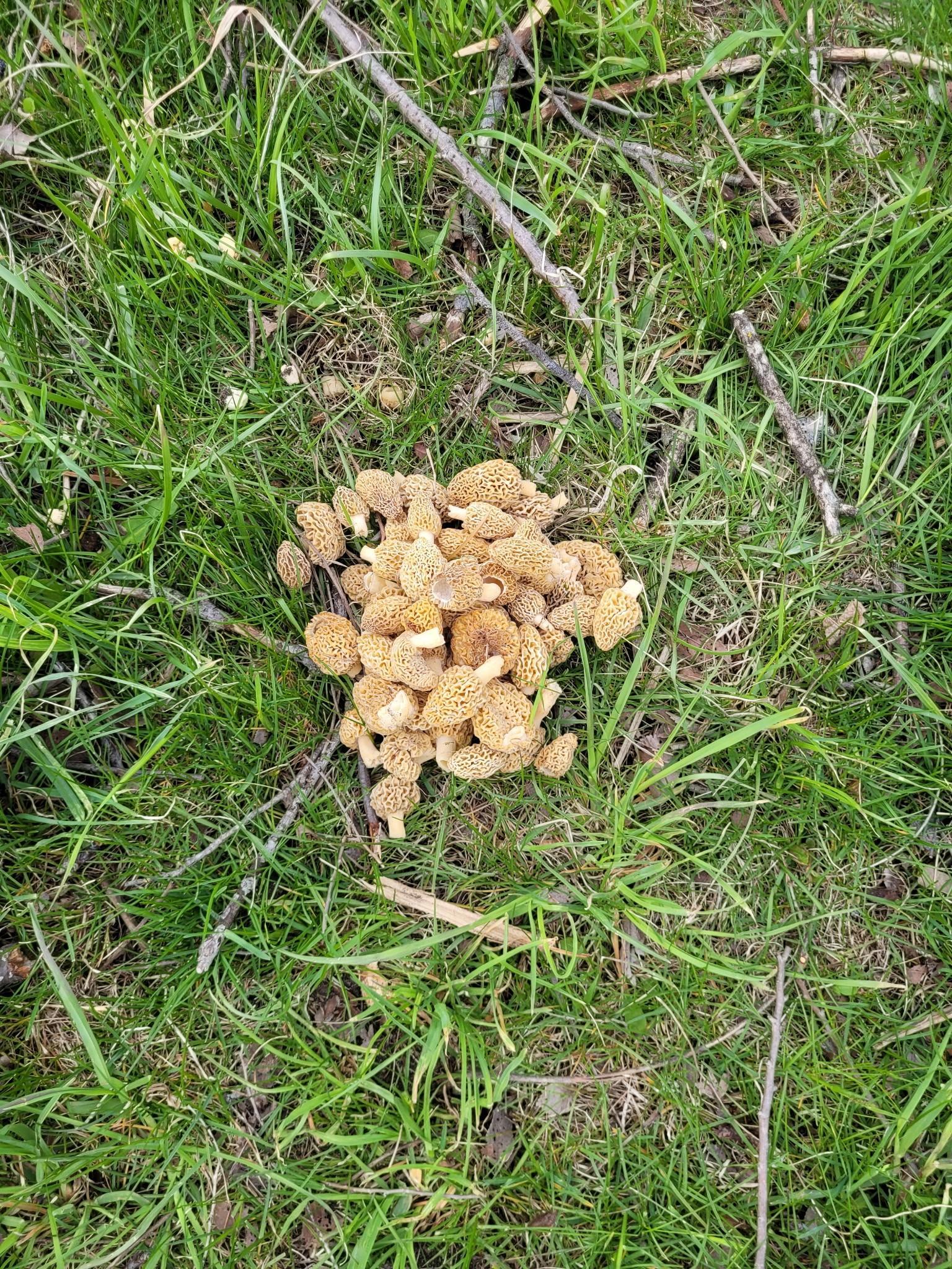 Photo 43