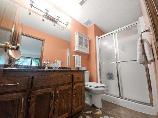 lower level bathroom