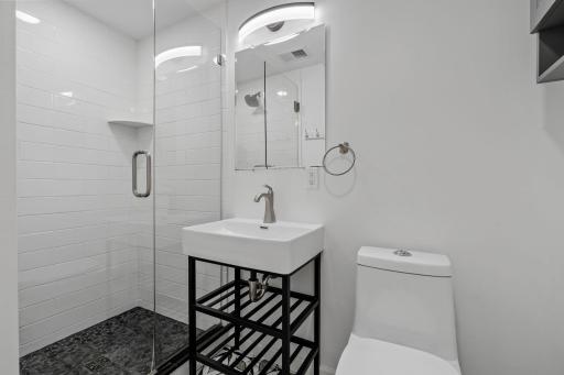 Lower level bath with walk in shower.