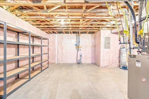 Utility and storage area in basement (its removed via photo shop)