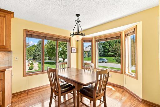 14346 Rochester Street NE, Ham Lake, MN 55304