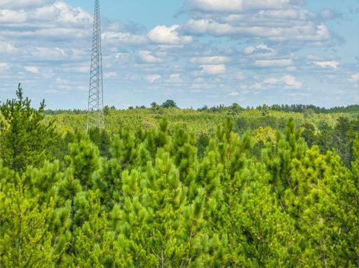 Tract A Highway 21, Babbitt, MN 55706