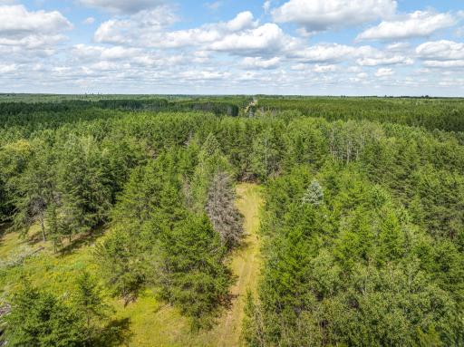 Tract A Highway 21, Babbitt, MN 55706