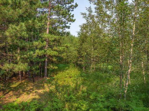 Tract A Highway 21, Babbitt, MN 55706