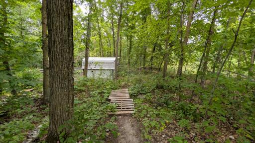 Chicken coop tucked in the woods
