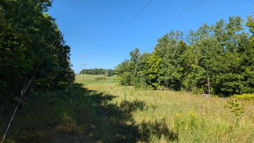 4.5 Acres of land with amazing hardwoods