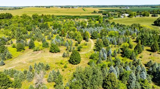 12843 80th Street S, Hastings, MN 55033