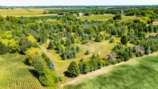 12843 80th Street S, Hastings, MN 55033