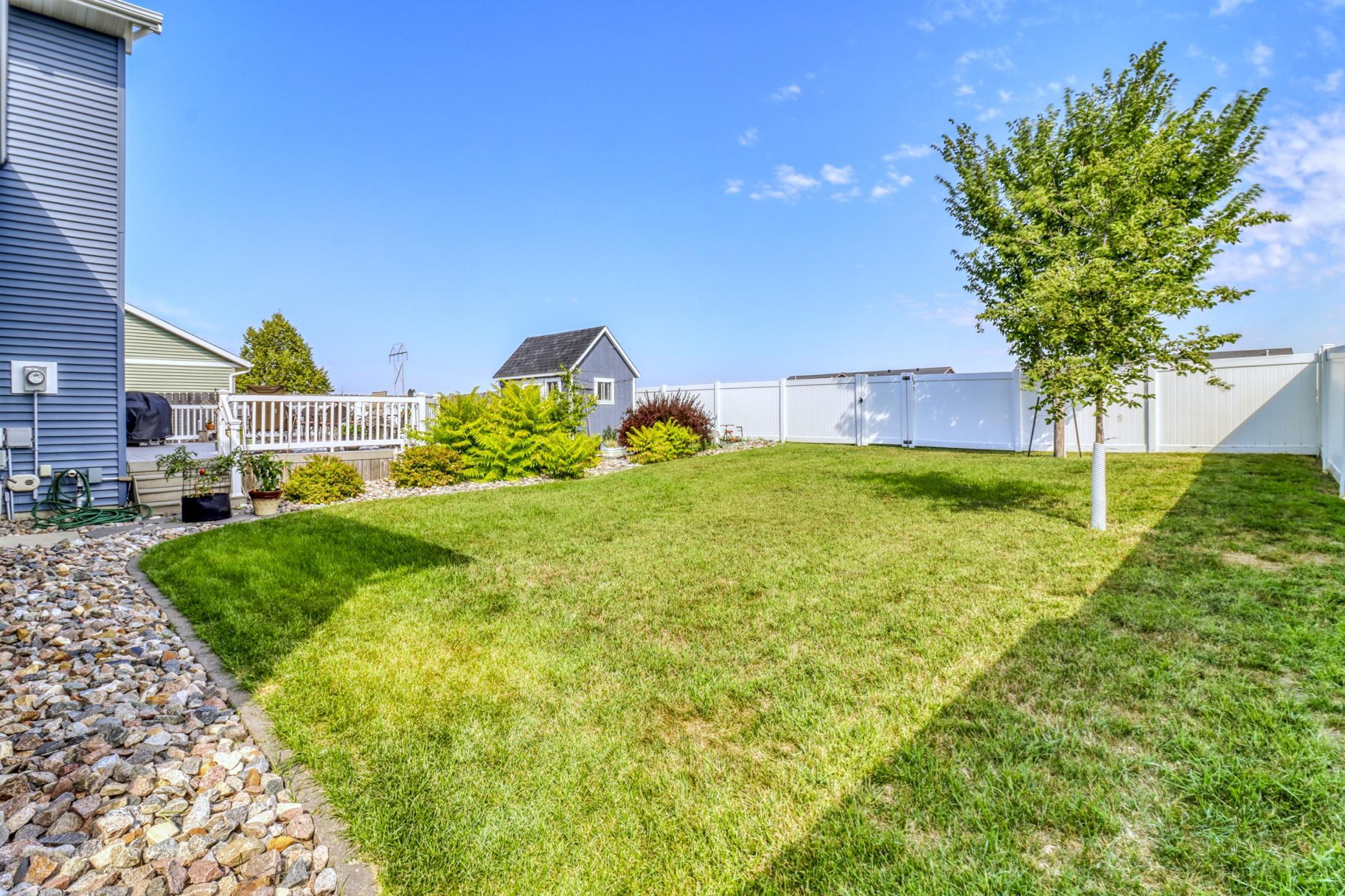 Backyard1_2.JPG