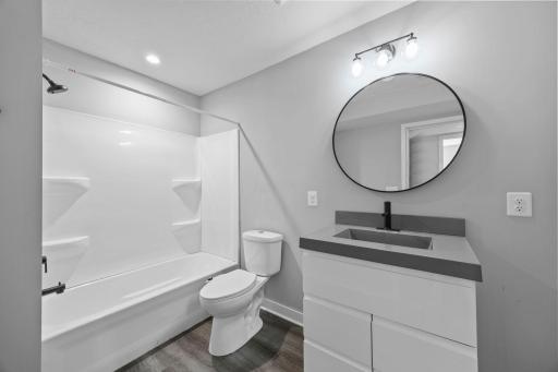 Lower level 4th full bathroom