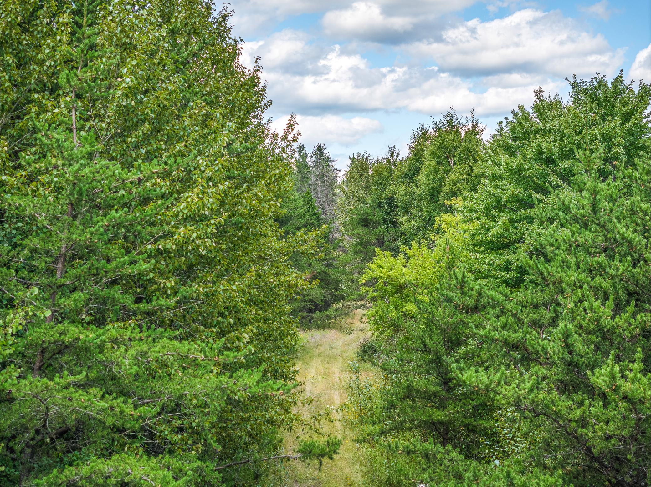 Property photo for Tract B Highway 21, Babbitt, MN 55706