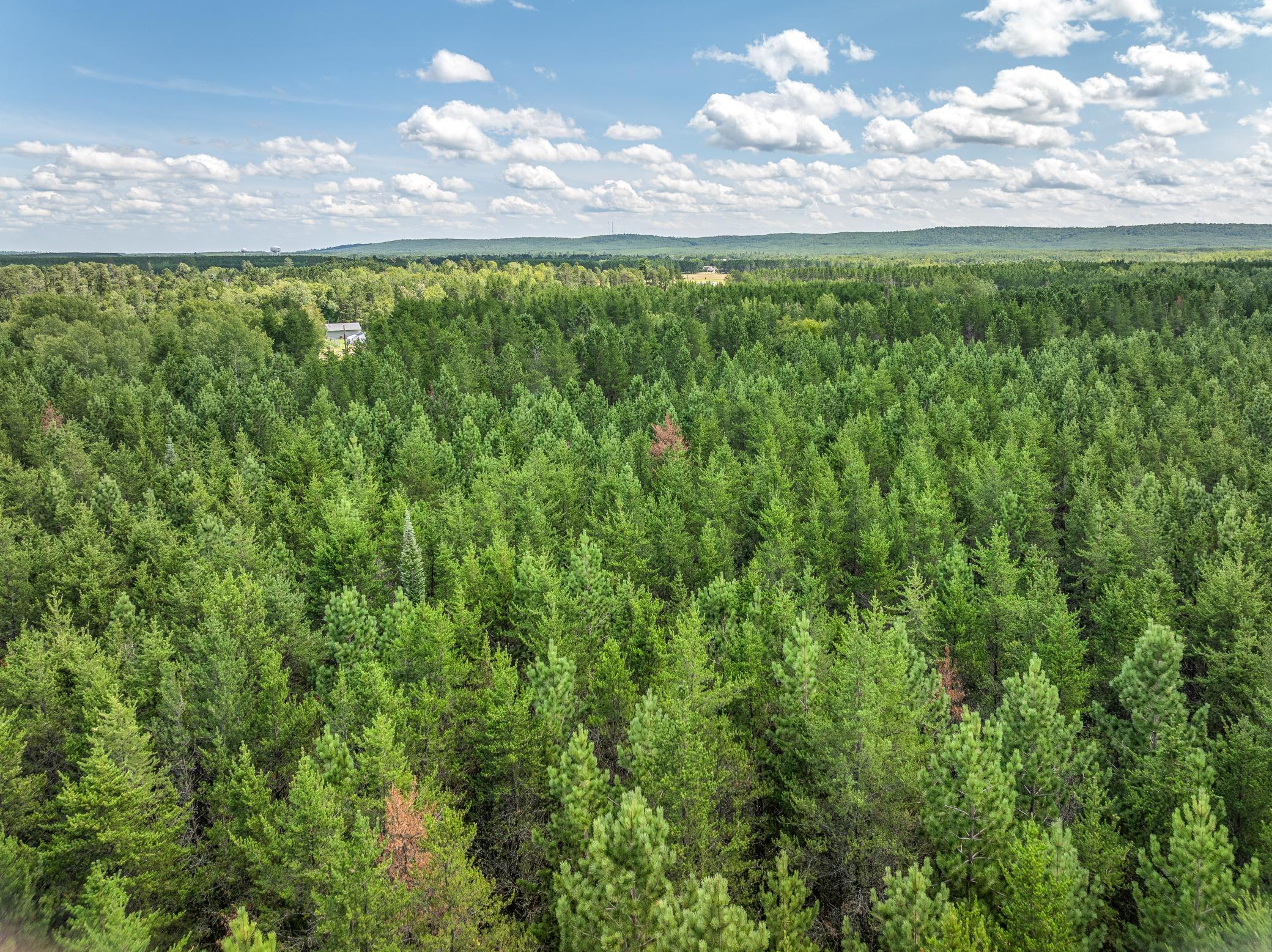 1072-HWY21PBerens-5.jpg