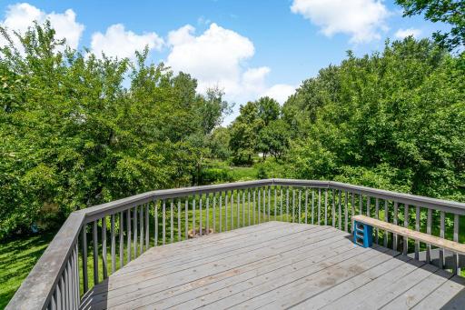 Spacious deck with views of the pond