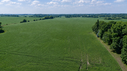 TBD 310th Avenue, Underwood, MN 56586