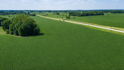 TBD 310th Avenue, Underwood, MN 56586