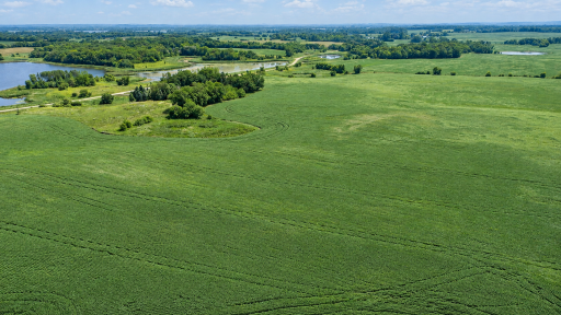 TBD 310th Avenue, Underwood, MN 56586