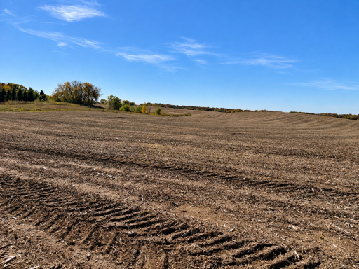 TBD 310th Avenue, Underwood, MN 56586