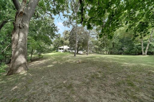 Looking from southwest area of the lot.