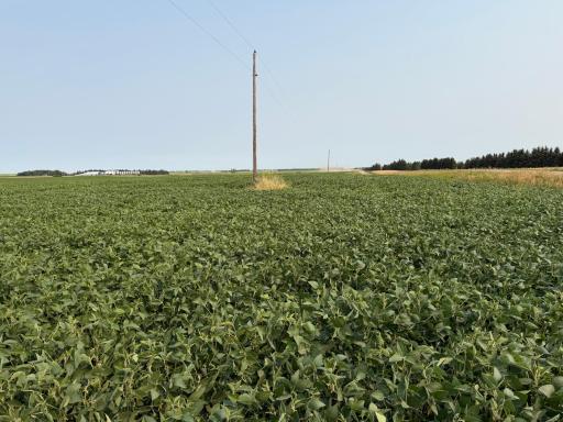TBD 366th ave NW, Kenmare, ND 58746