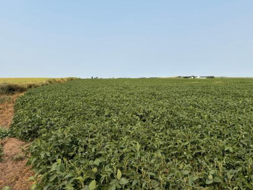 TBD 366th ave NW, Kenmare, ND 58746