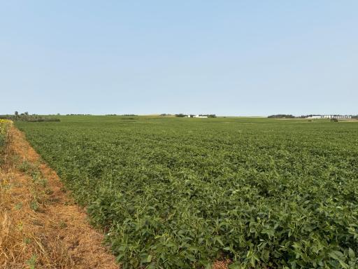 TBD 366th ave NW, Kenmare, ND 58746