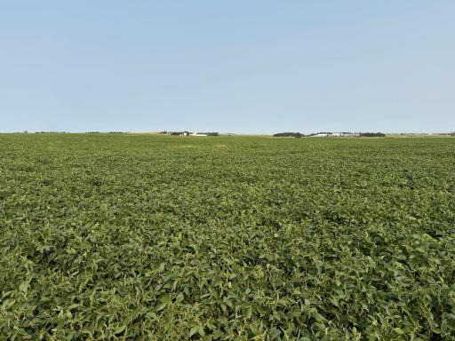 TBD 366th ave NW, Kenmare, ND 58746