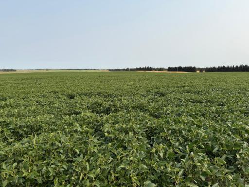TBD 366th ave NW, Kenmare, ND 58746