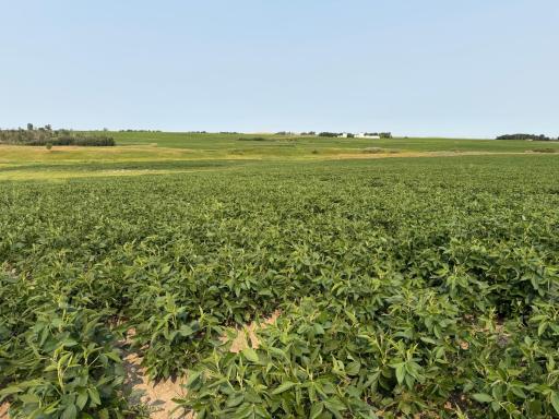 TBD 366th ave NW, Kenmare, ND 58746