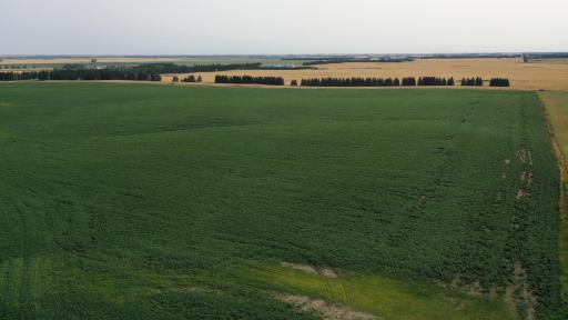TBD 366th ave NW, Kenmare, ND 58746