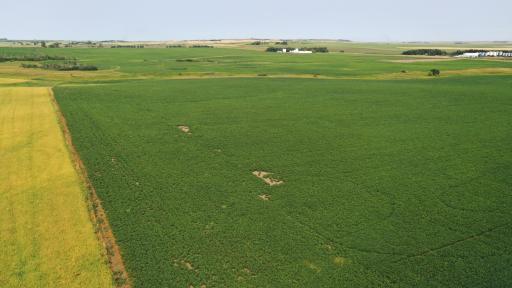 TBD 366th ave NW, Kenmare, ND 58746