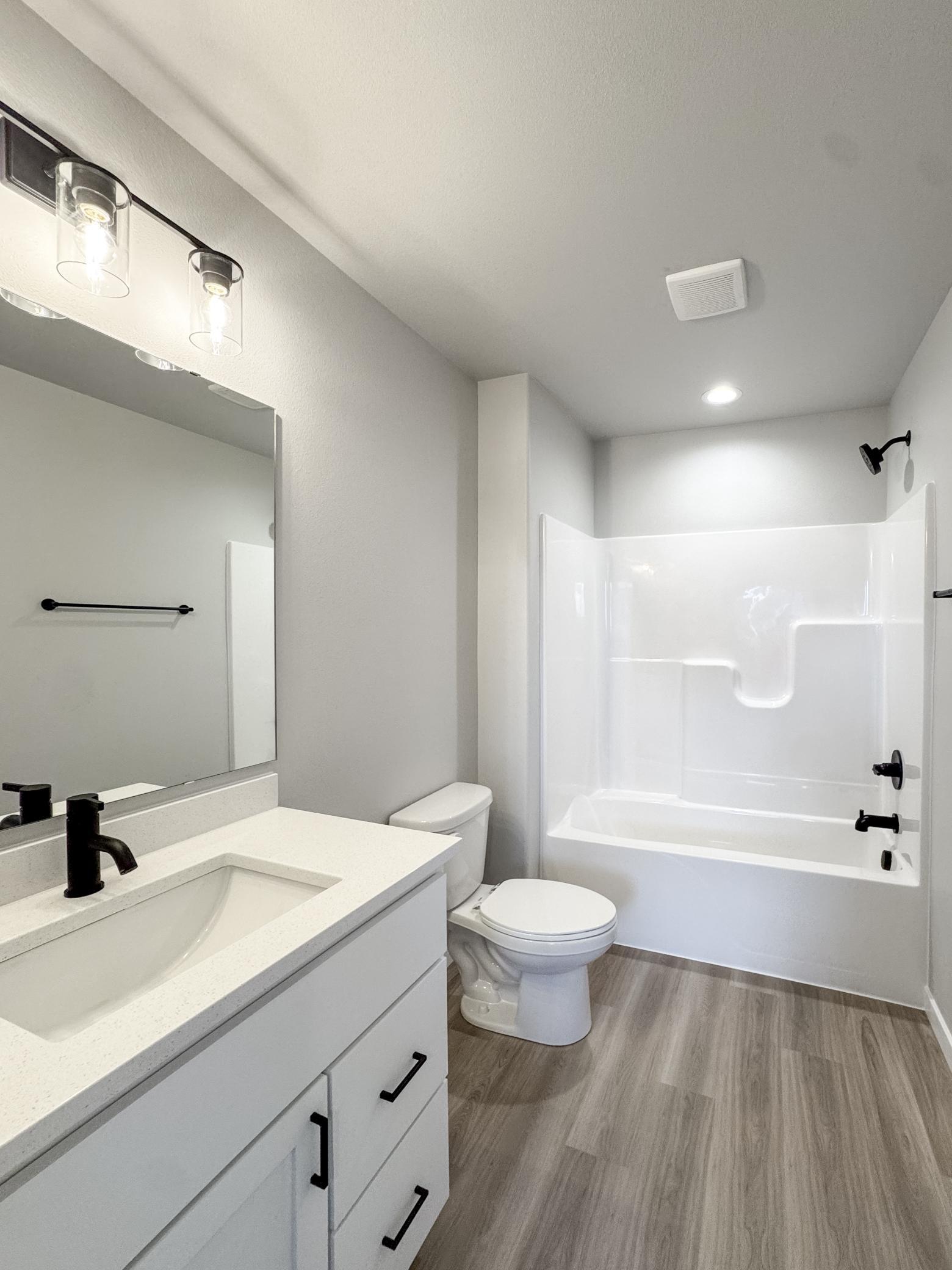 Lower Level Bathroom