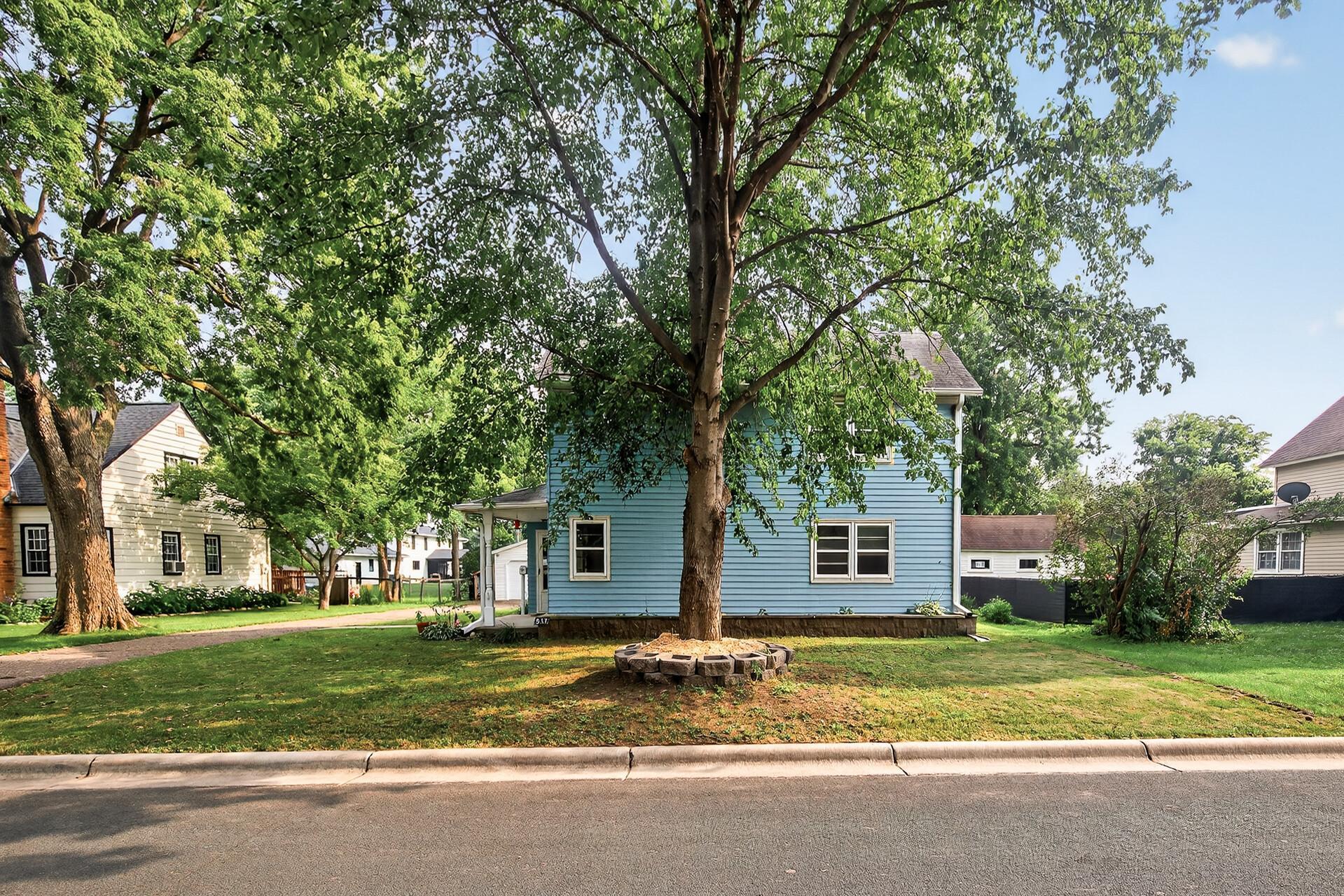 Beautiful mature trees in the neighborhood
