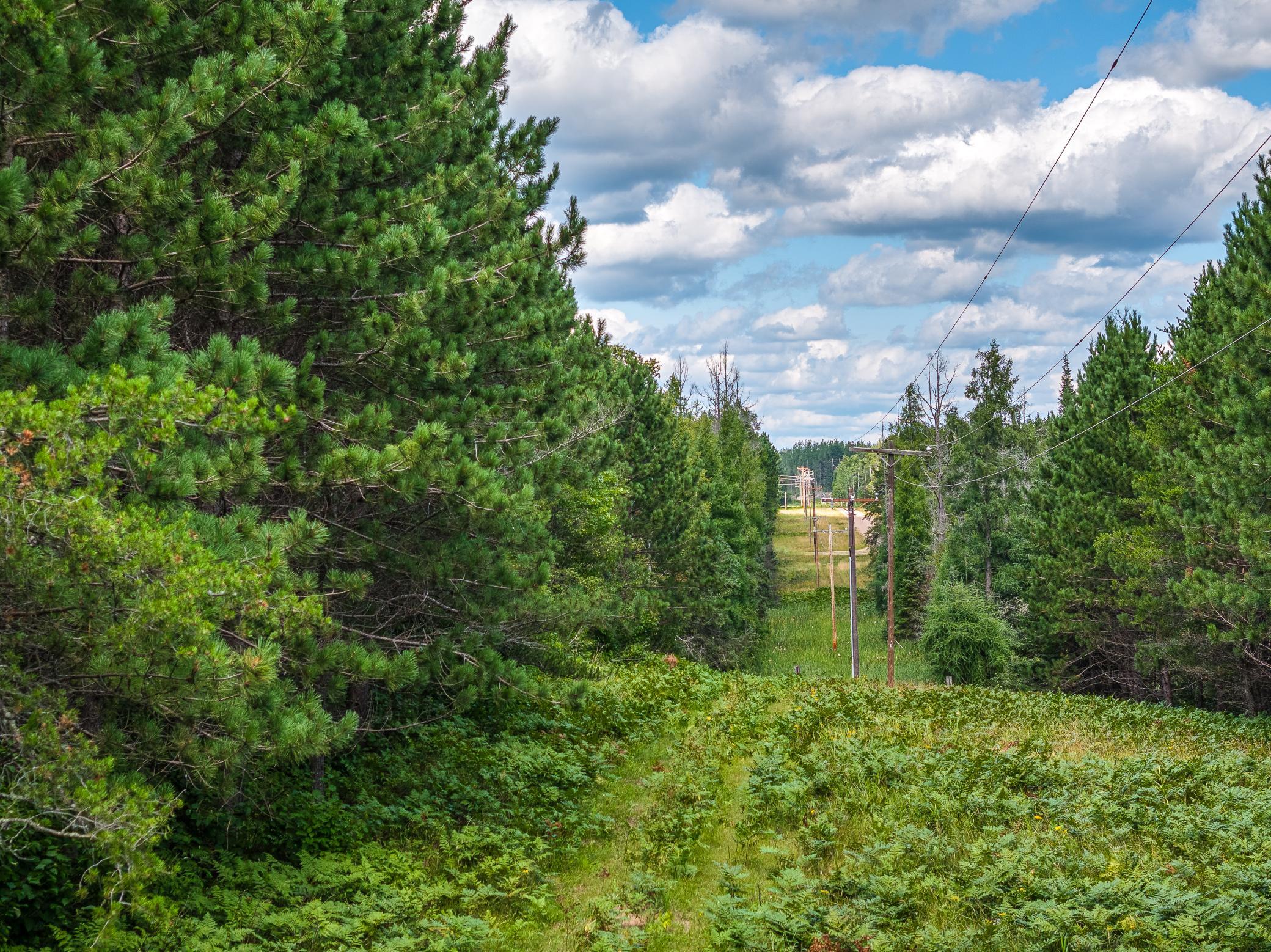 Property photo for Tract C Hwy 21, Babbitt, MN 55706