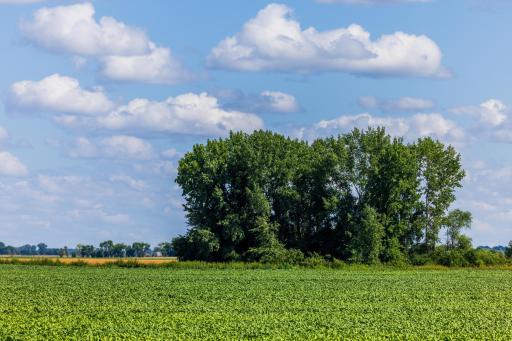 Amdak__Argyle MN_0047.jpg