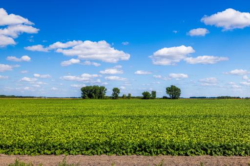 Amdak__Argyle MN_0052.jpg