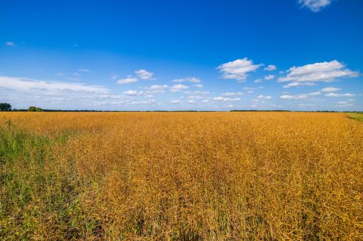 Amdak__Argyle MN_0056.jpg