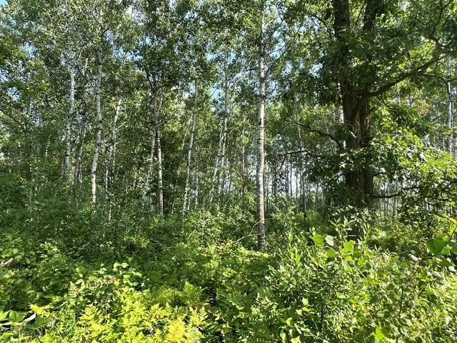 Wooded.jpg