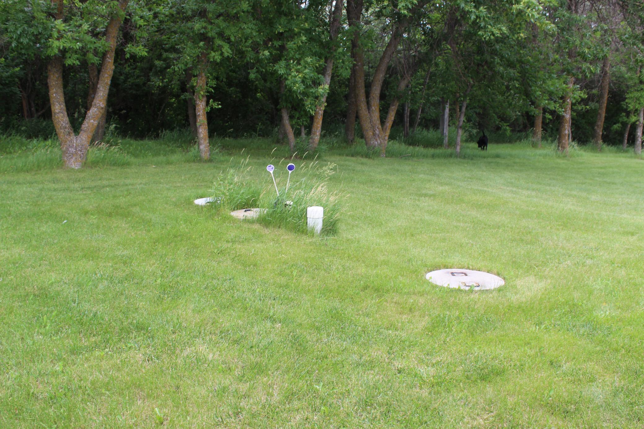IMG_4630.JPG