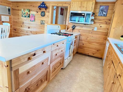 26713 Pelican Beach Road, Merrifield, MN 56465