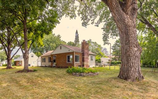 Large, fenced-in yard
