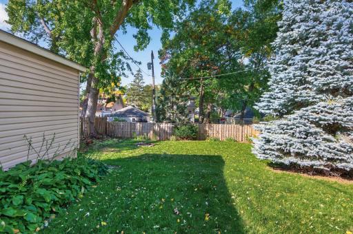 The fenced backyard offers green space framed by mature trees and established plantings.