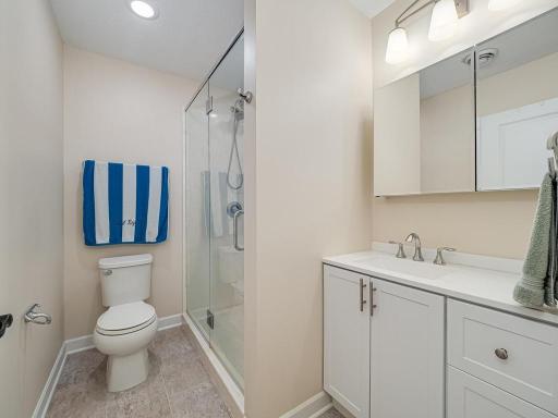 Lower level newer 3/4 bath features walk-in shower with glass doors
