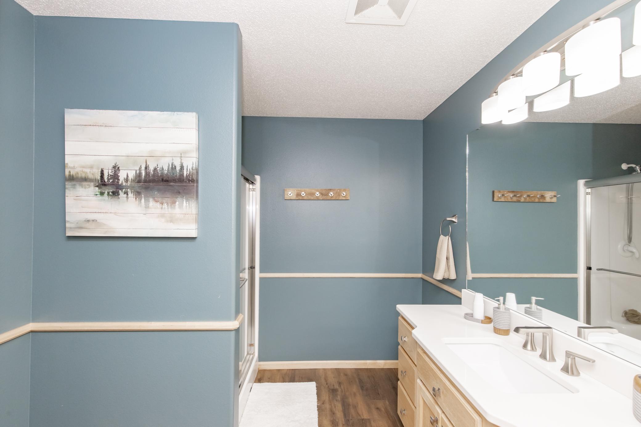 Lower Level Bathroom